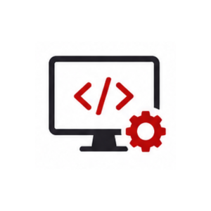 Information Technology Management